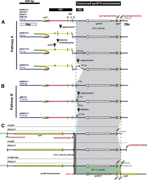 Fig 1