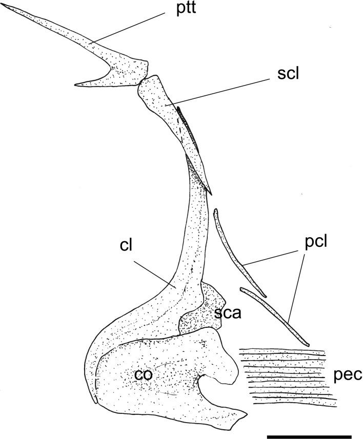 Fig. 5