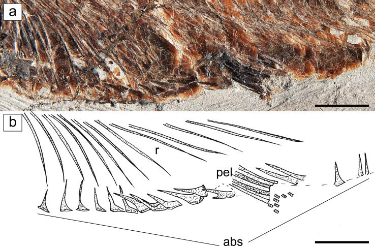 Fig. 6