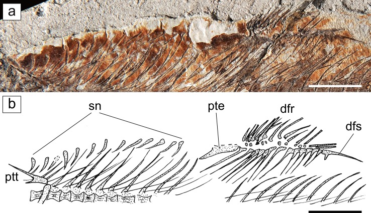 Fig. 3