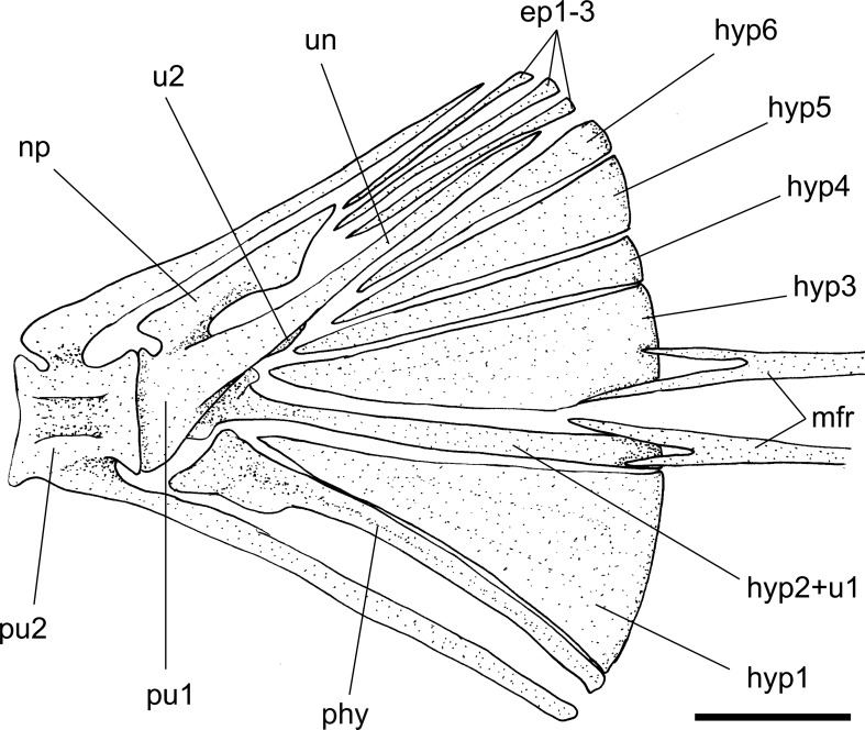 Fig. 4