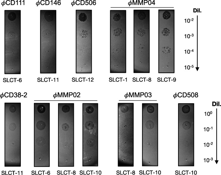 FIG 4