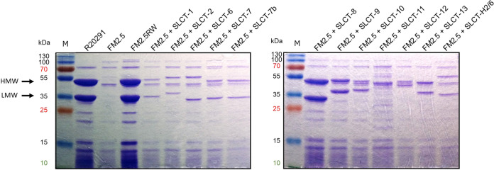 FIG 1