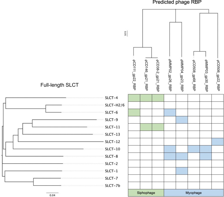 FIG 6