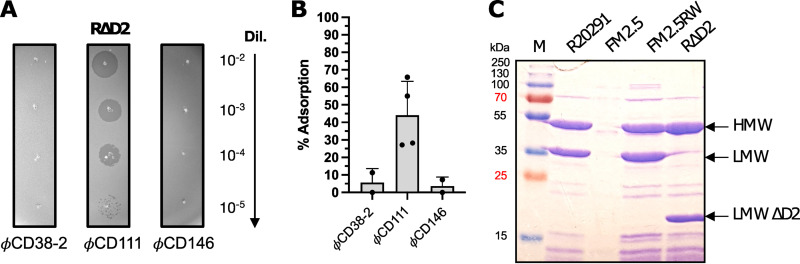 FIG 5