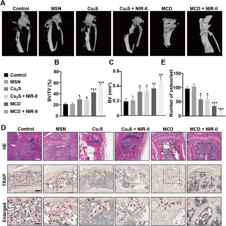 Fig. 9