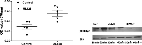 FIG. 5.