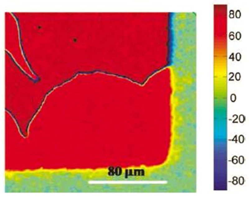 Figure 11