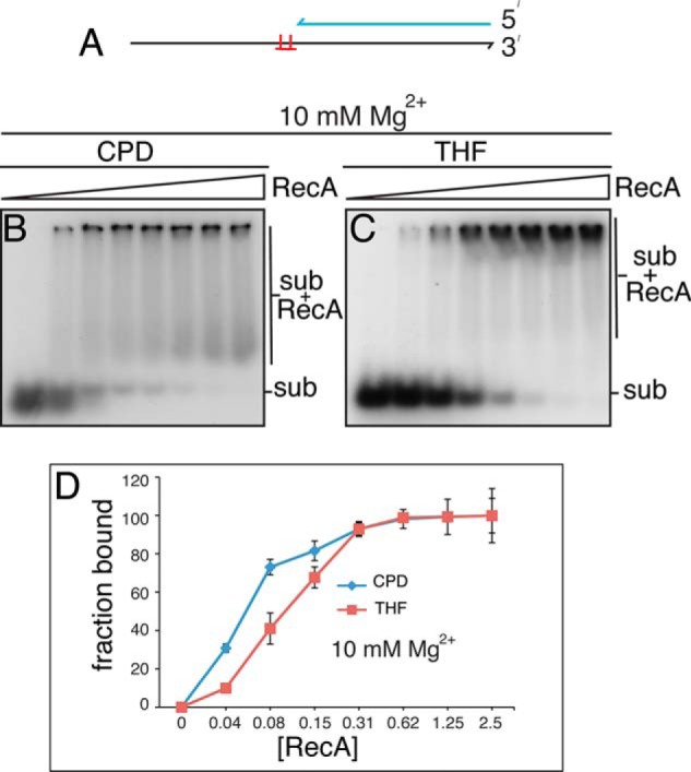 FIGURE 9.