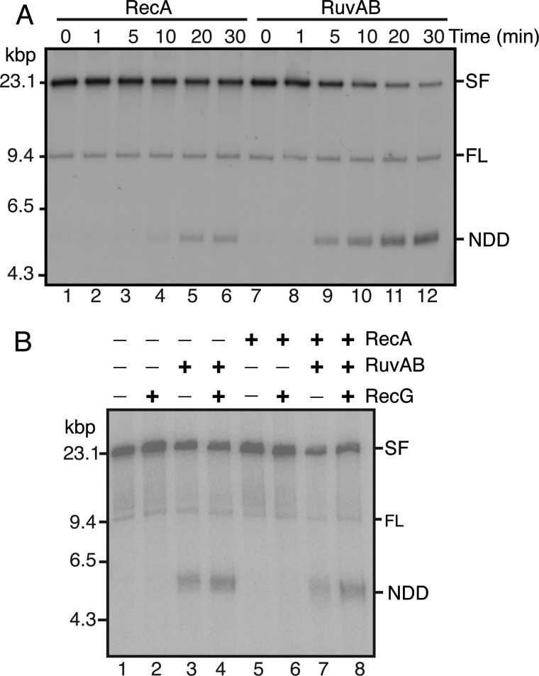 FIGURE 7.