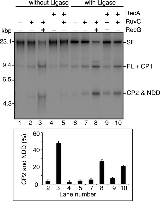 FIGURE 3.