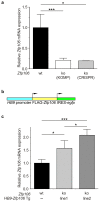 Figure 2—figure supplement 3.