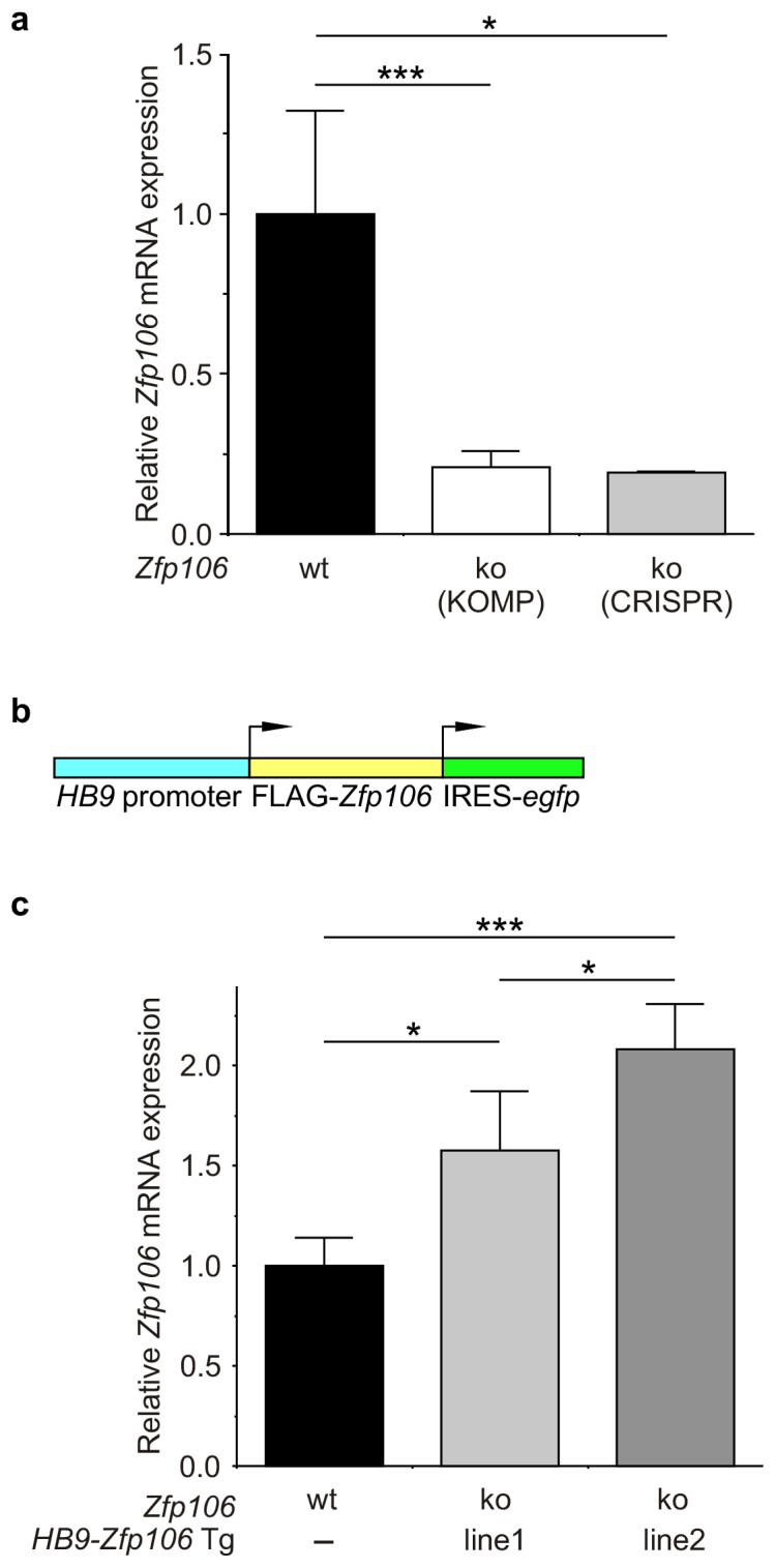 Figure 2—figure supplement 3.