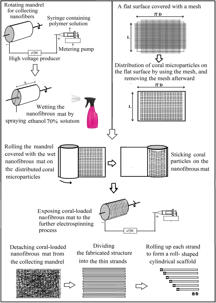 Fig. 1