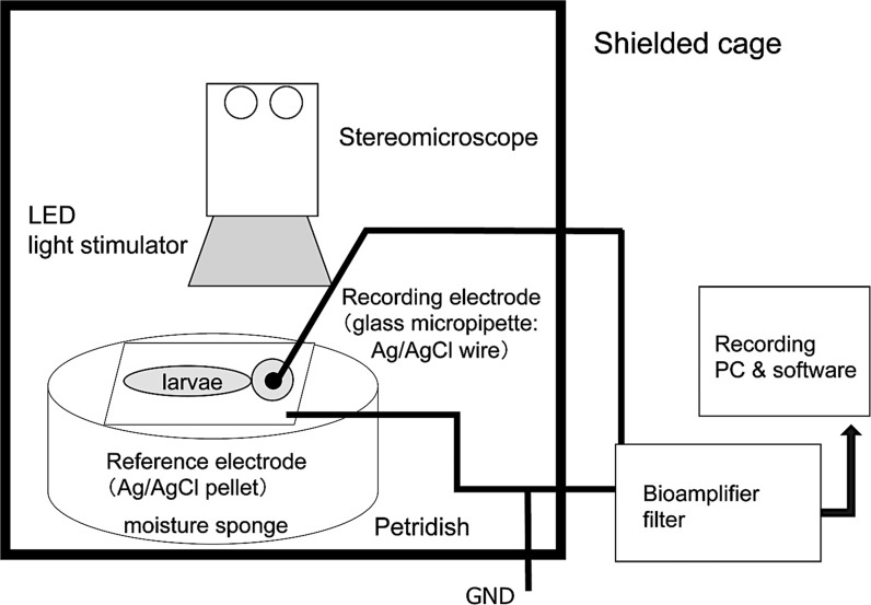 Fig. 2