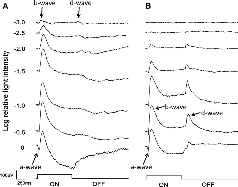 Fig. 3