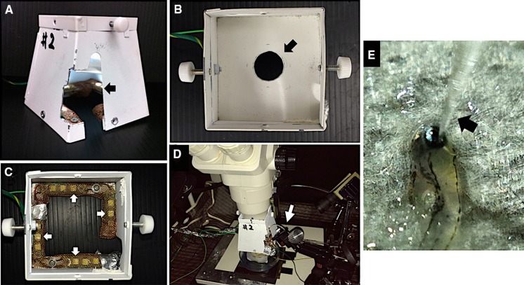 Fig. 1