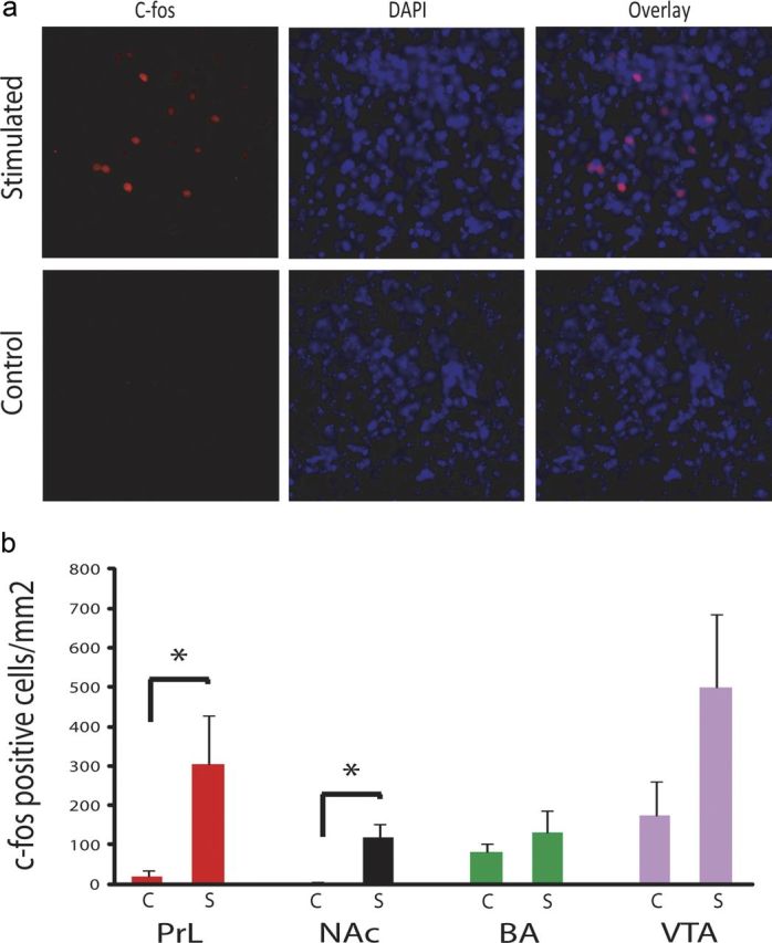 Figure 10.