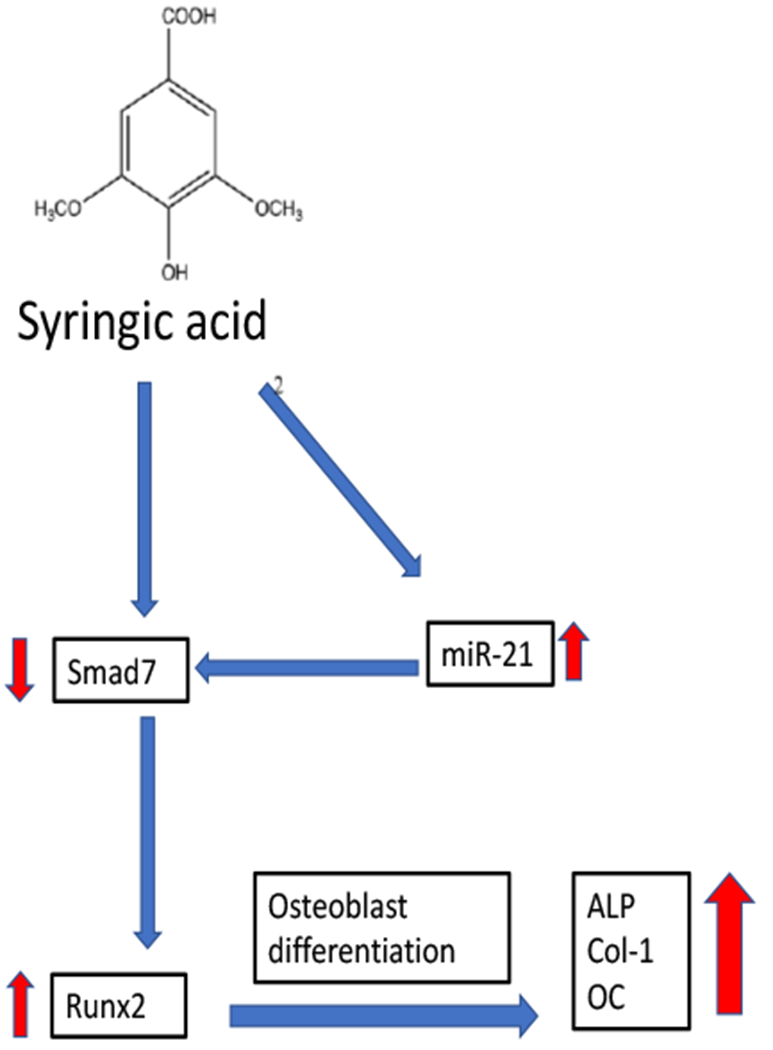 Figure 8.