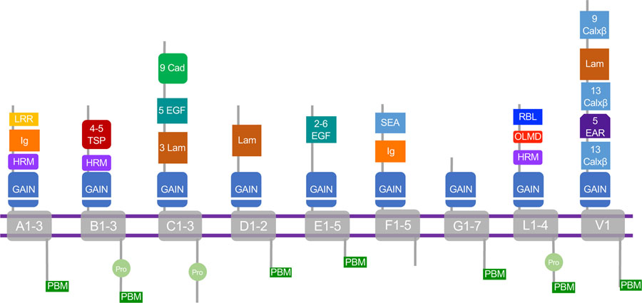 Figure 1.