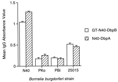 FIG. 8