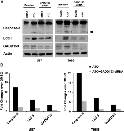 Fig. 4.