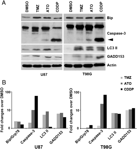 Fig. 2.