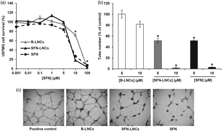 Figure 2: