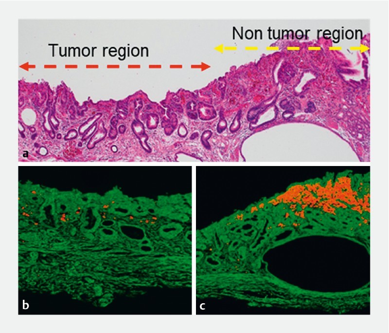 Fig. 2 a