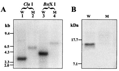 FIG. 5