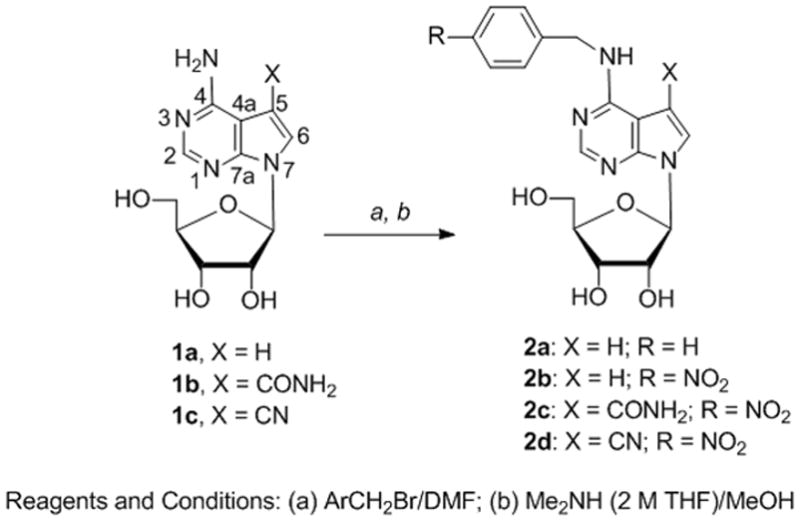 Scheme 1