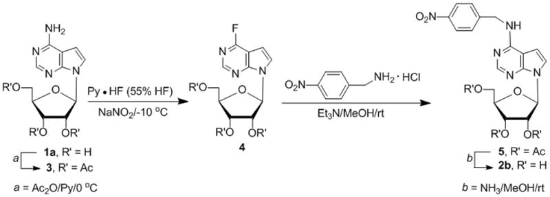 Scheme 2