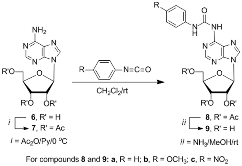 Scheme 3