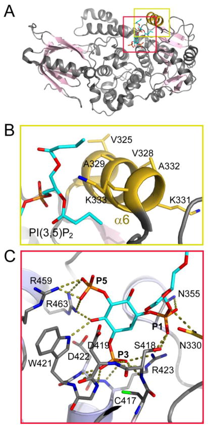 Fig. 7