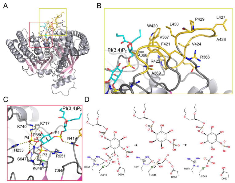 Fig. 8