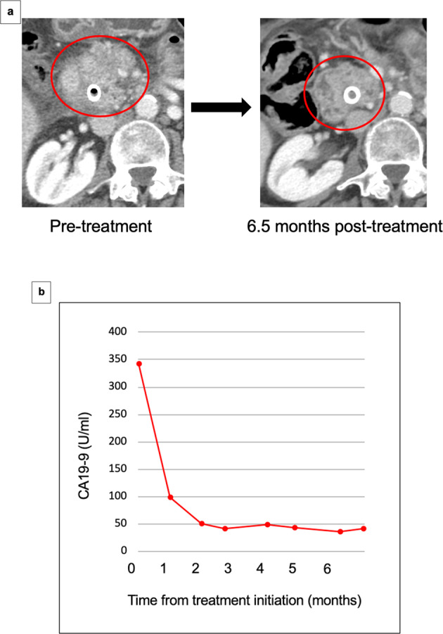 Fig. 4