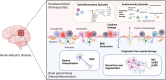 Graphical Abstract