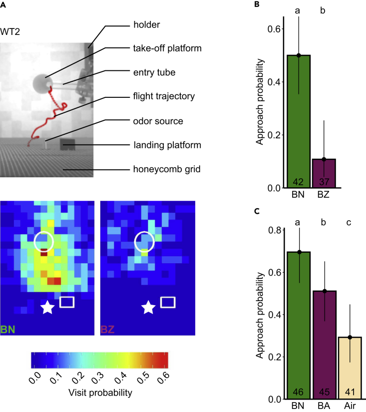 Figure 2