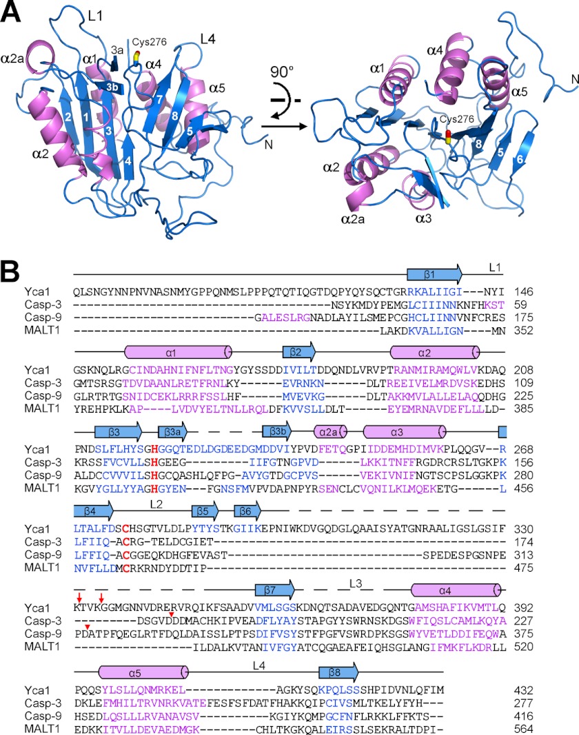 FIGURE 1.