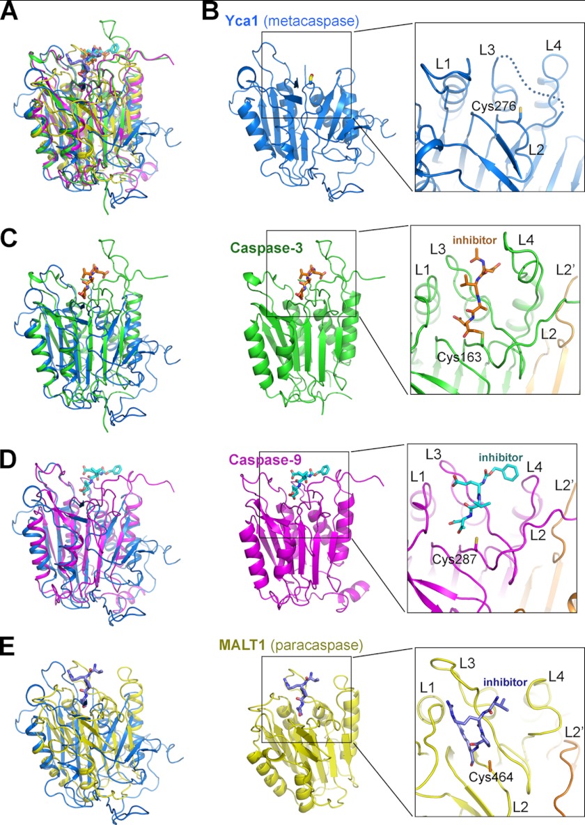 FIGURE 2.