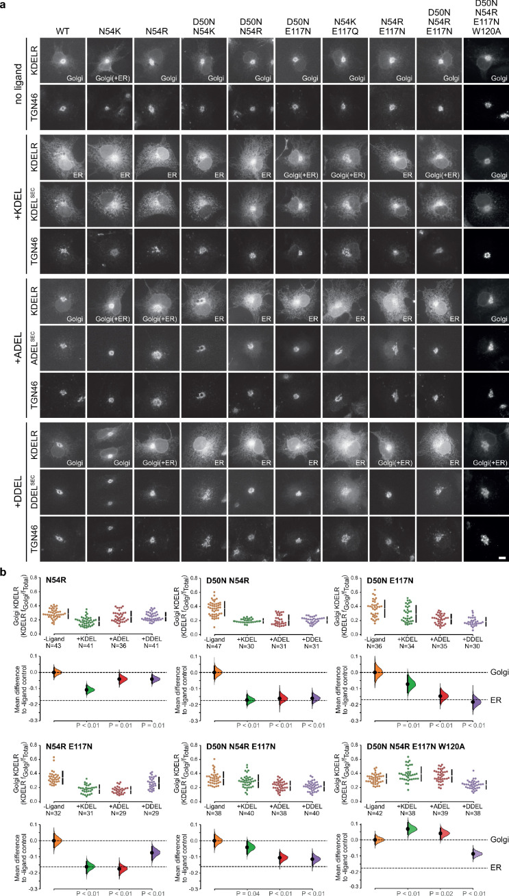 Figure 6—figure supplement 1.