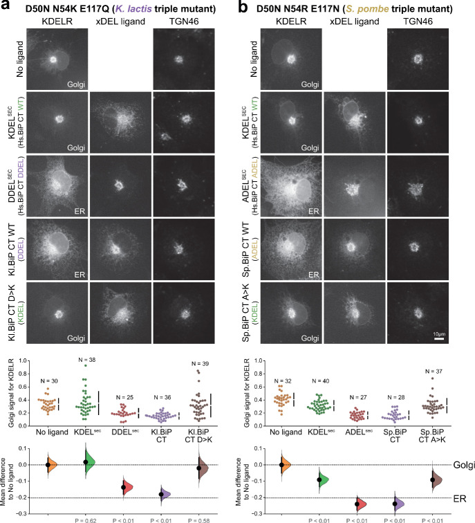 Figure 6—figure supplement 2.