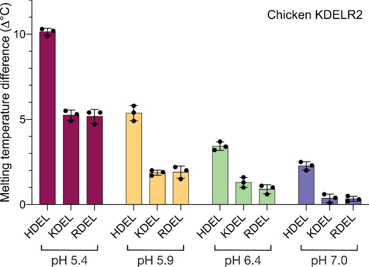 Figure 2—figure supplement 1.