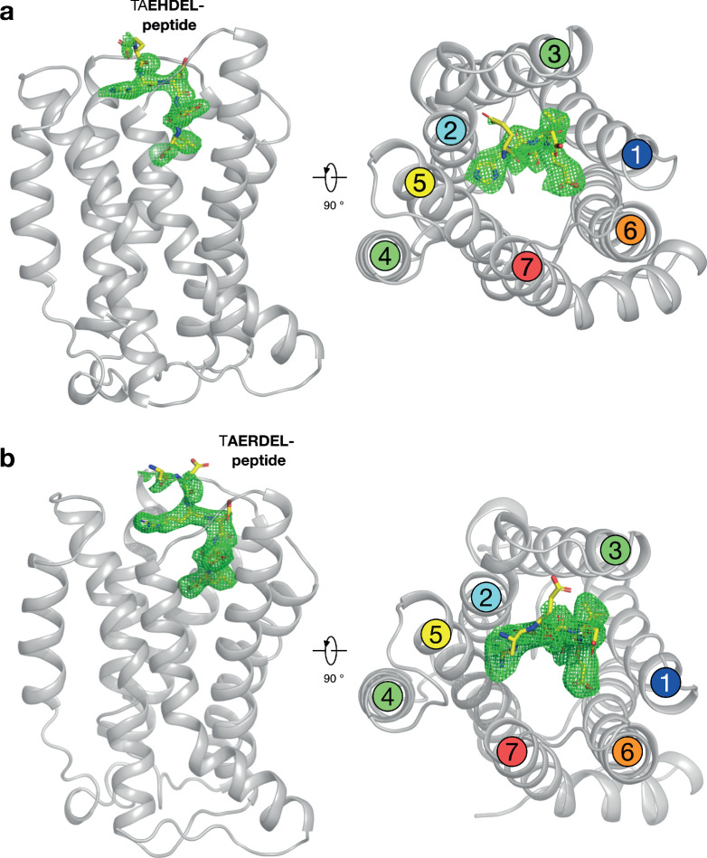 Figure 2—figure supplement 2.