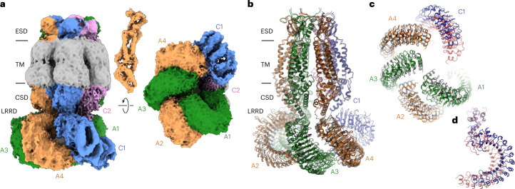 Fig. 4