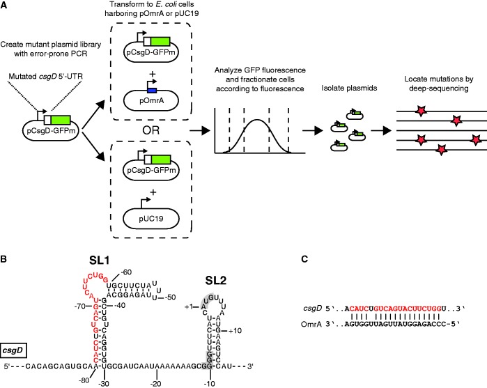 Figure 1.