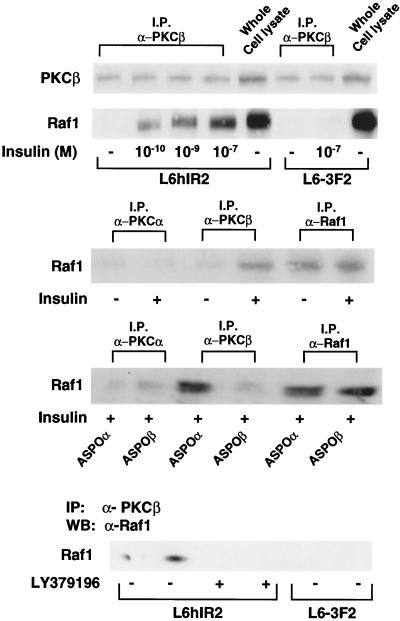 FIG. 10