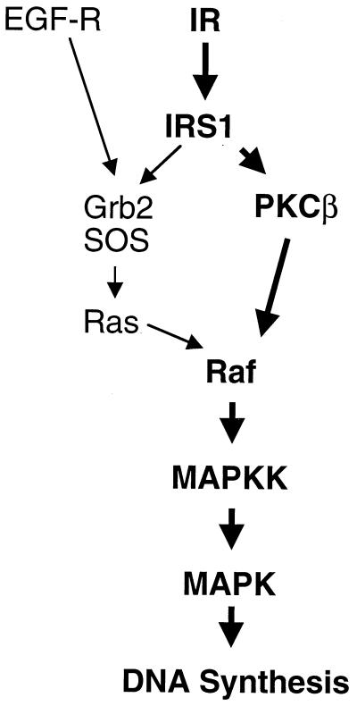 FIG. 12