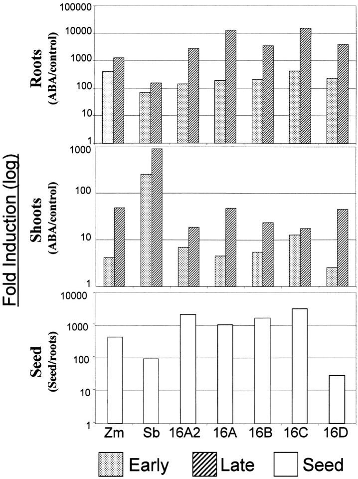 Figure 4.—