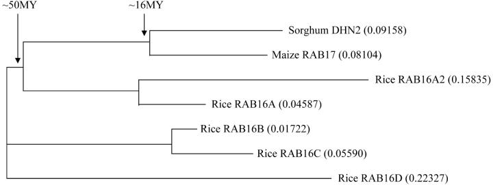 Figure 2.—